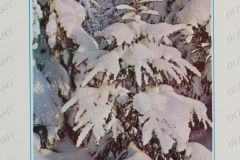 OGLMT-OF-8057-34-F.49.-Op.1_-Shumakov-Ju.D.-Pismo-L.N.-Afoninu.-S-novoletiem-Tak-zhalel_-chto-ne-smogu-vstretitsya-s-Vami-na-Turgenevskih-Dn-_1