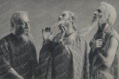 27