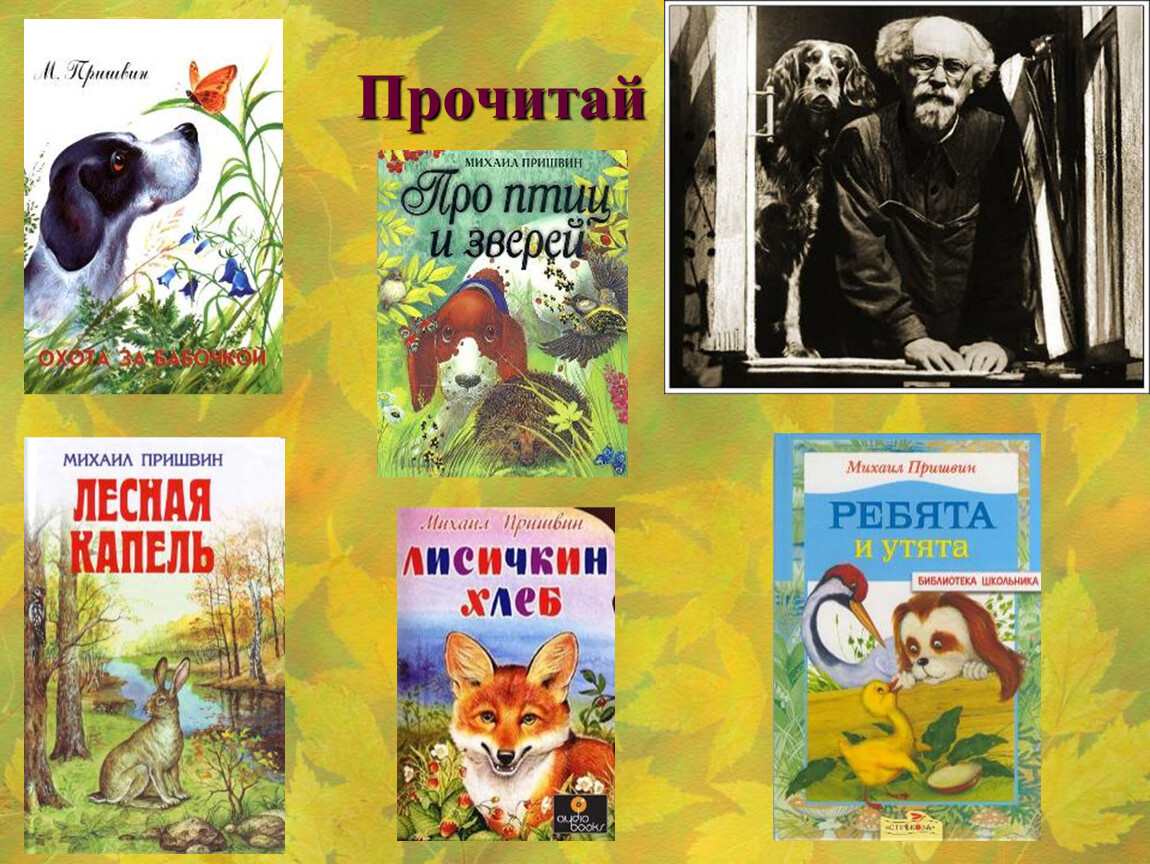 Анонс мероприятия для воспитанников детского сада «Загадки русского леса»