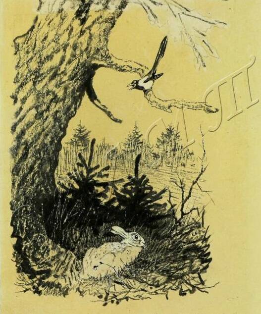 Персонажи М.М. Пришвина глазами художника Е.М. Рачева