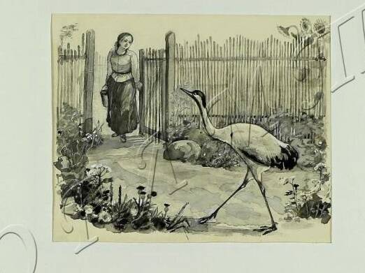 Персонажи М.М. Пришвина глазами художника В.Н. Рачева. Журка