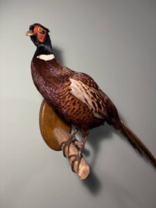 Открытие выставки «Дай мне руку – и пойдем мы в поле…» (диалоги о природе), 6+ @ Лекторий Музея И.С. Тургенева | Орёл | Орловская область | Россия